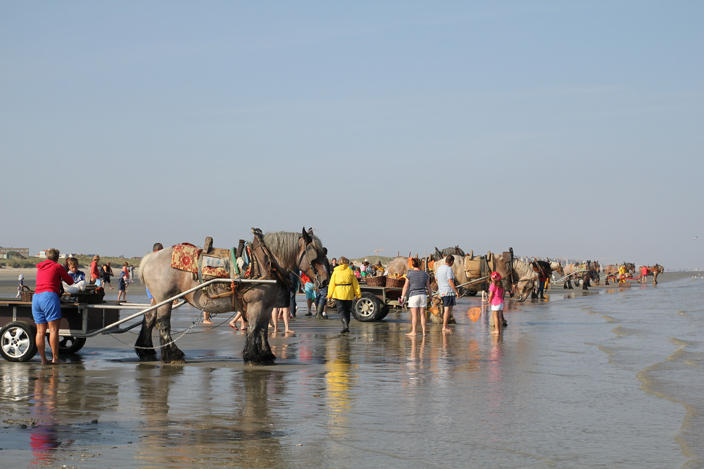 Oostduinkerke